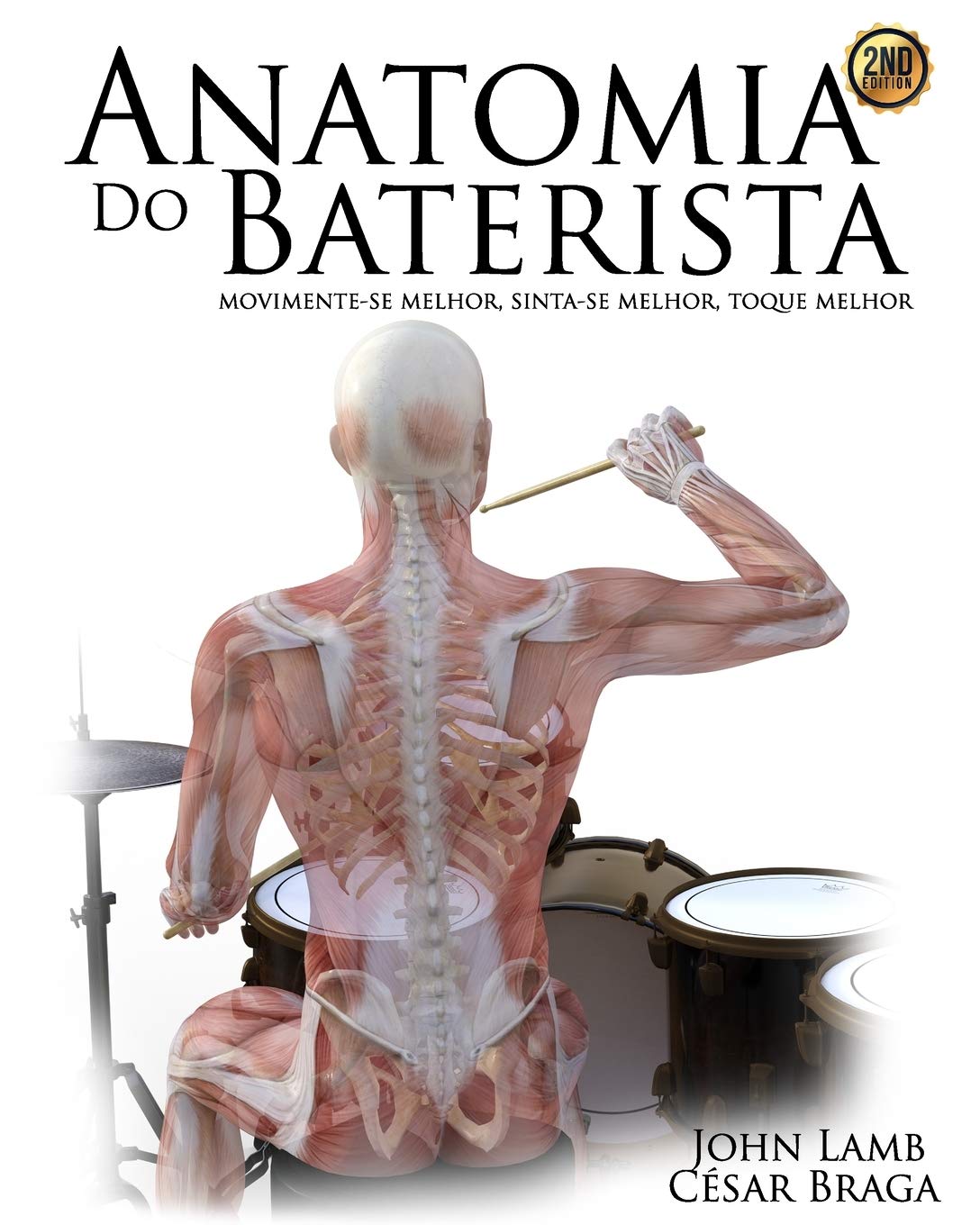 Anatomie du batteur : vibrez au rythme de la musique en totale harmonie corporelle