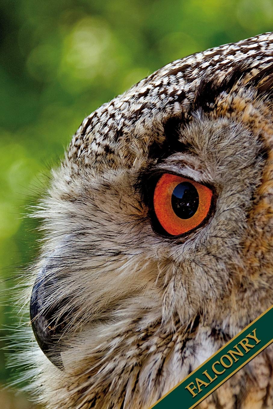 Falconry: Long-eared owl. Format A5, 120 pages, fine light grey lined. Daily entries, notes and journal for the falconer, the falconer, nature and bird friends.