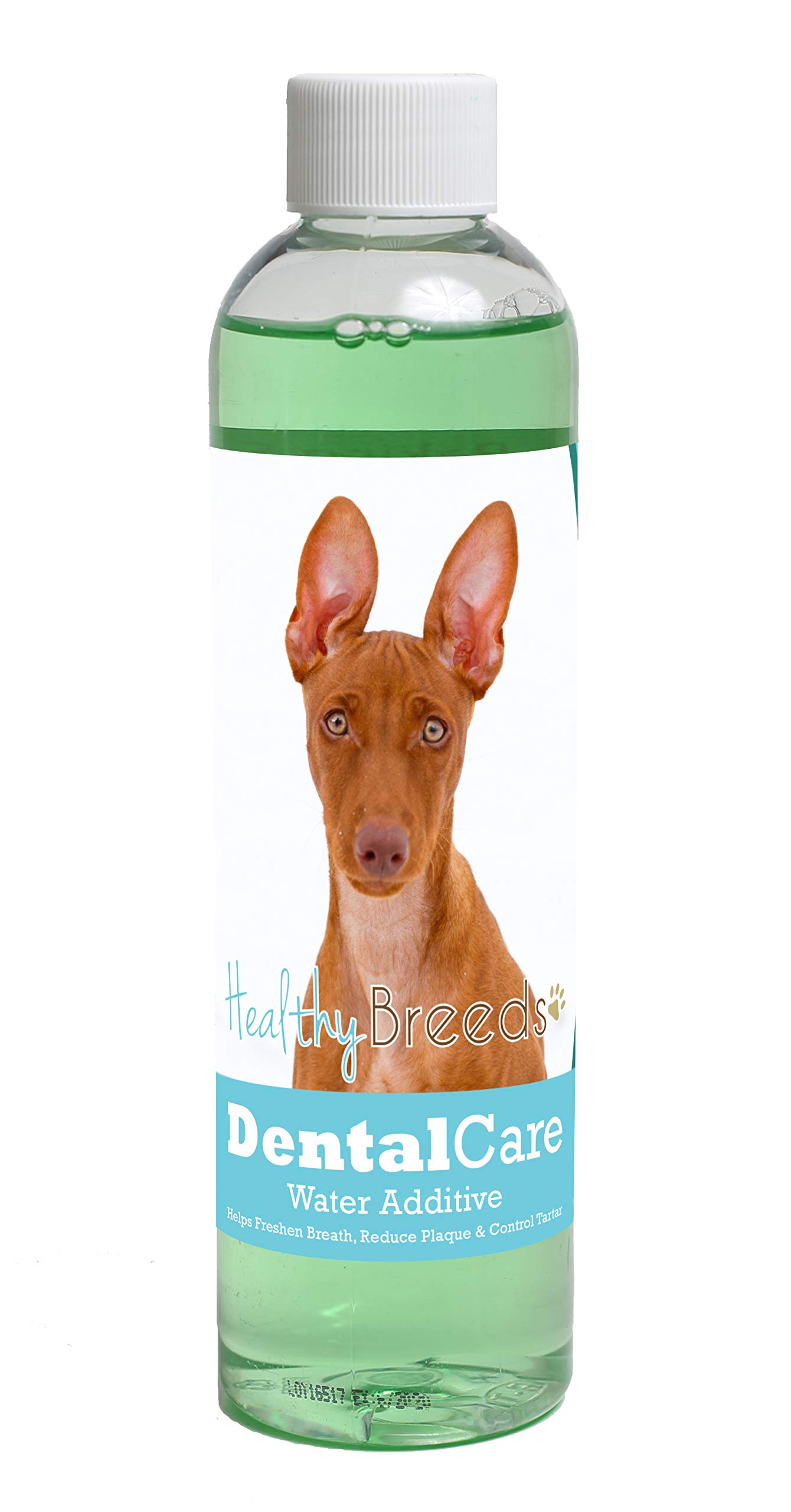 Healthy Breeds Dog Dental Care Water Additive for Cirneco dell'Etna - Helps Freshen Breath, Reduce Plaque &amp; Control Tartar - Mint Flavor - 8 oz