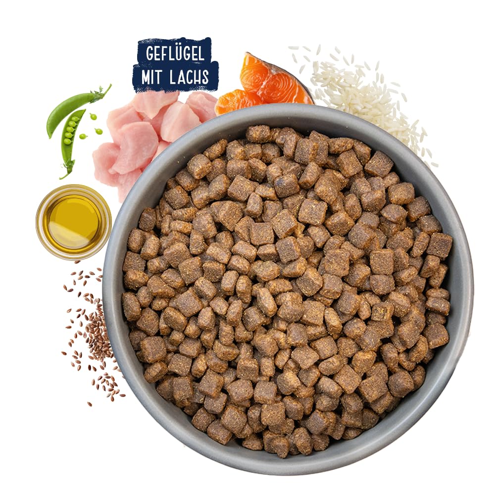 Chicopee CNL Soft Adult Salmon & Rice