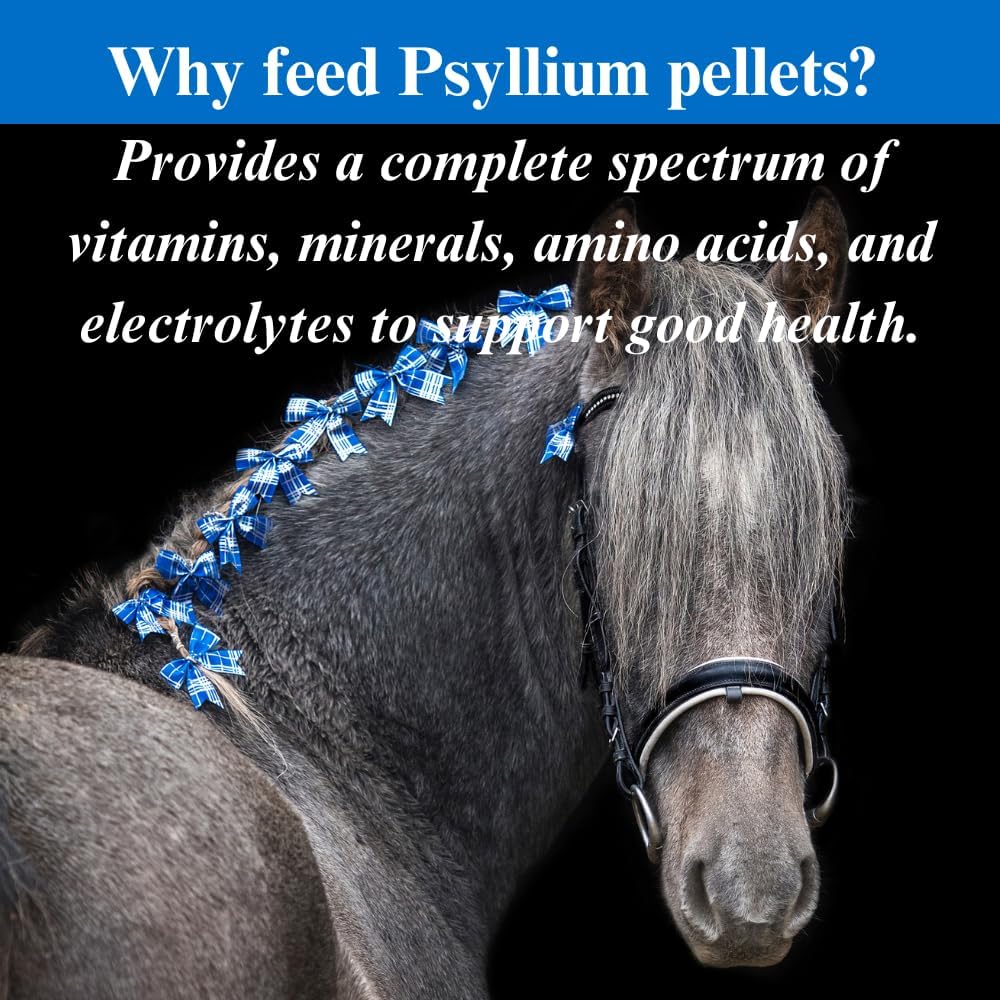 SU-PER Psyllium Pellets Equine Supplement - Maintains Healthy Digestive Tract in Horses - Supports Removal of Sand & Dirt from Intestinal Tract - 5 Pound, 1 Month Supply