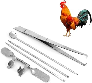 Kit de ferramentas de aço inoxidável para tampa de frango, 5 unidades, instrumento veterinário para quintas avicolas par...