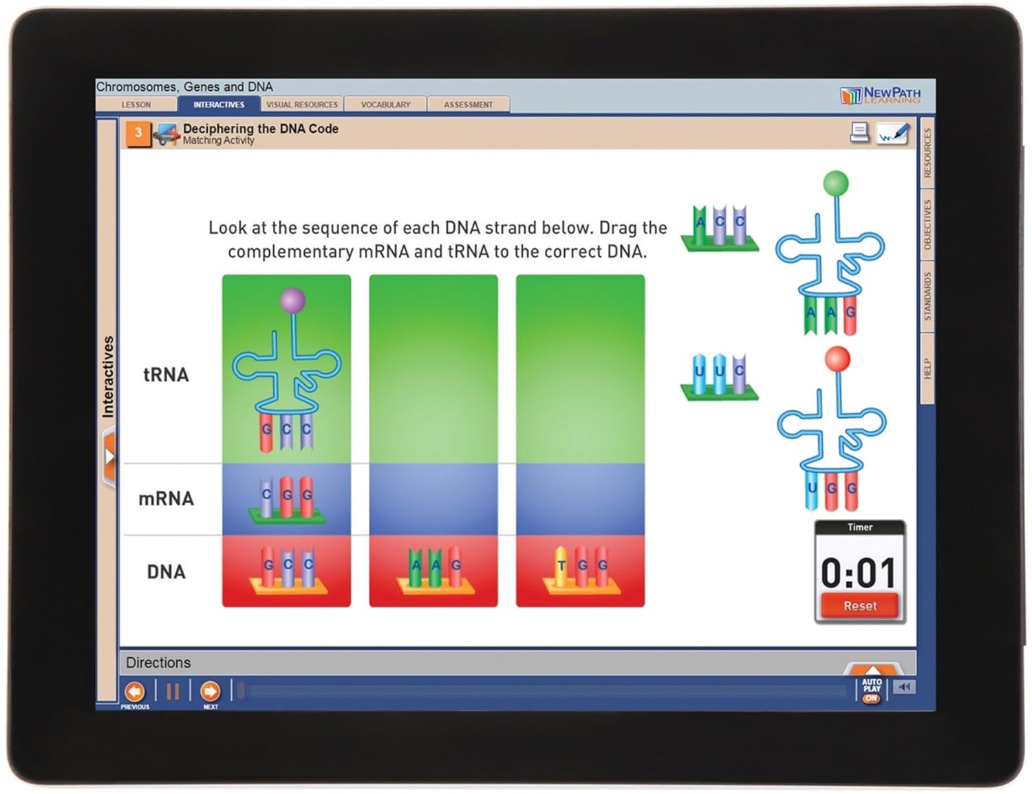 Newpath Chromosomes, Genes and DNA Flip Chart & Online Multimedia Lesson, Grades 6 through 10