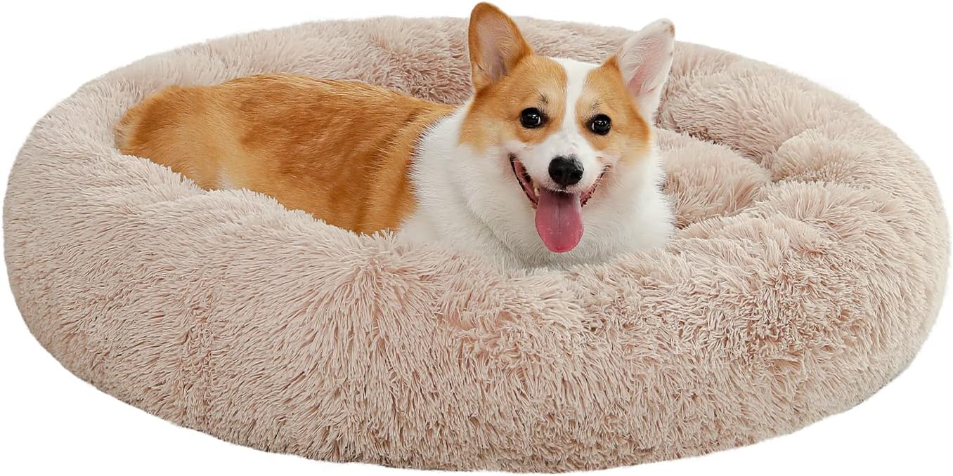 Waschbares Hundebett Für Große Hunde - Rutschfest, Kuschelig & Praktisch In Größe L (70x55cm)