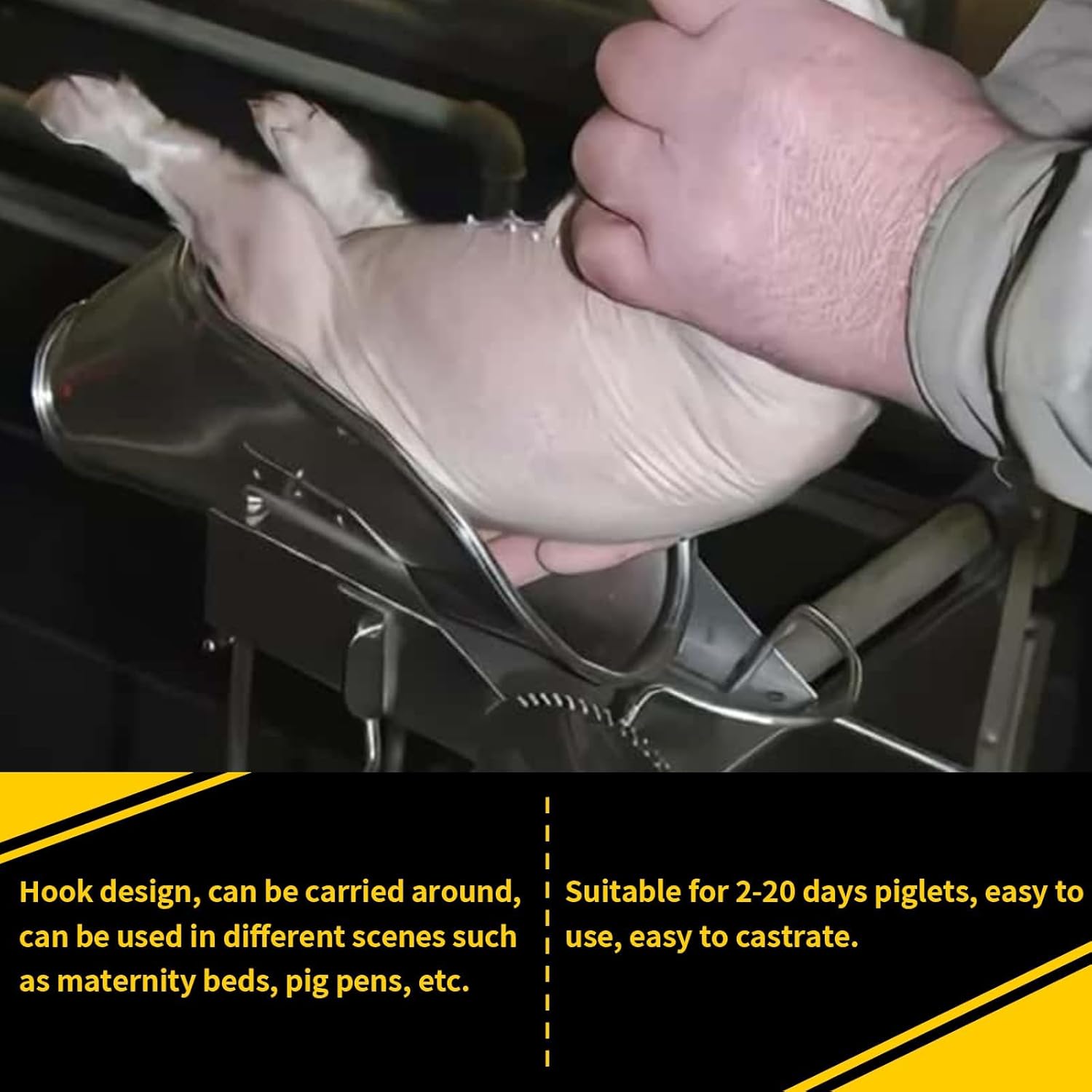 Stainless Steel Piglet Castration Tools,Portable Pig Castration Rack Tools Bracket,Breeding Equipment for Farm Livestock,Operation Platform Castration for Piglet Castration- Small