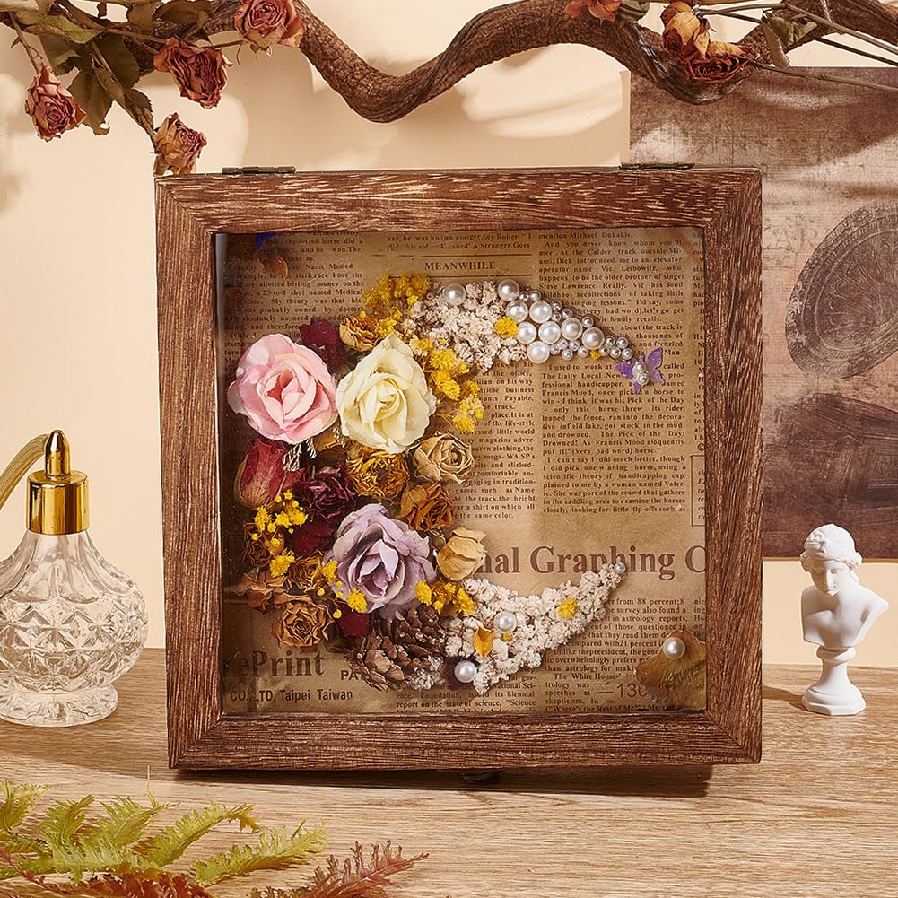 Mipcase Vitrine à Insectes Bois Avec Couvercle Transparent Boîte Affichage Élégante Pour Spécimens Collection De Et Insectes Rangement Multifonctionnel Pour Bijoux Et Souvenirs Mipcase Vitrine à Insectes Bois Avec Couvercle Transparent Boîte Affichage Élégante Pour Spécimens Collection De Et Insectes Rangement Multifonctionnel Pour Bijoux Et Souvenirs
