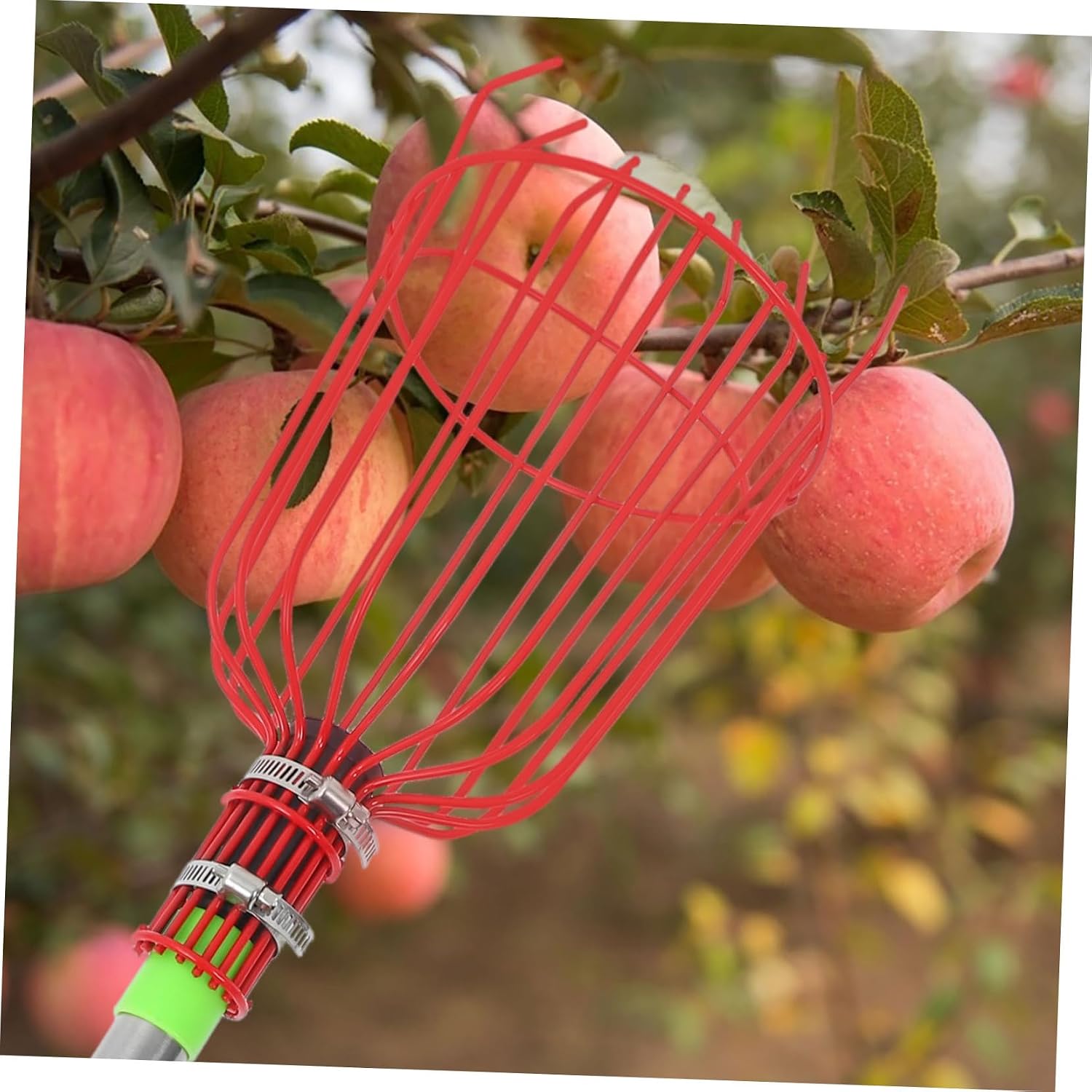 Telescoping Fruit Picker Tool Handle for Effortless Harvesting of Oranges Mangoes and More Lightweight and Portable Fruit Catcher for and Orchards