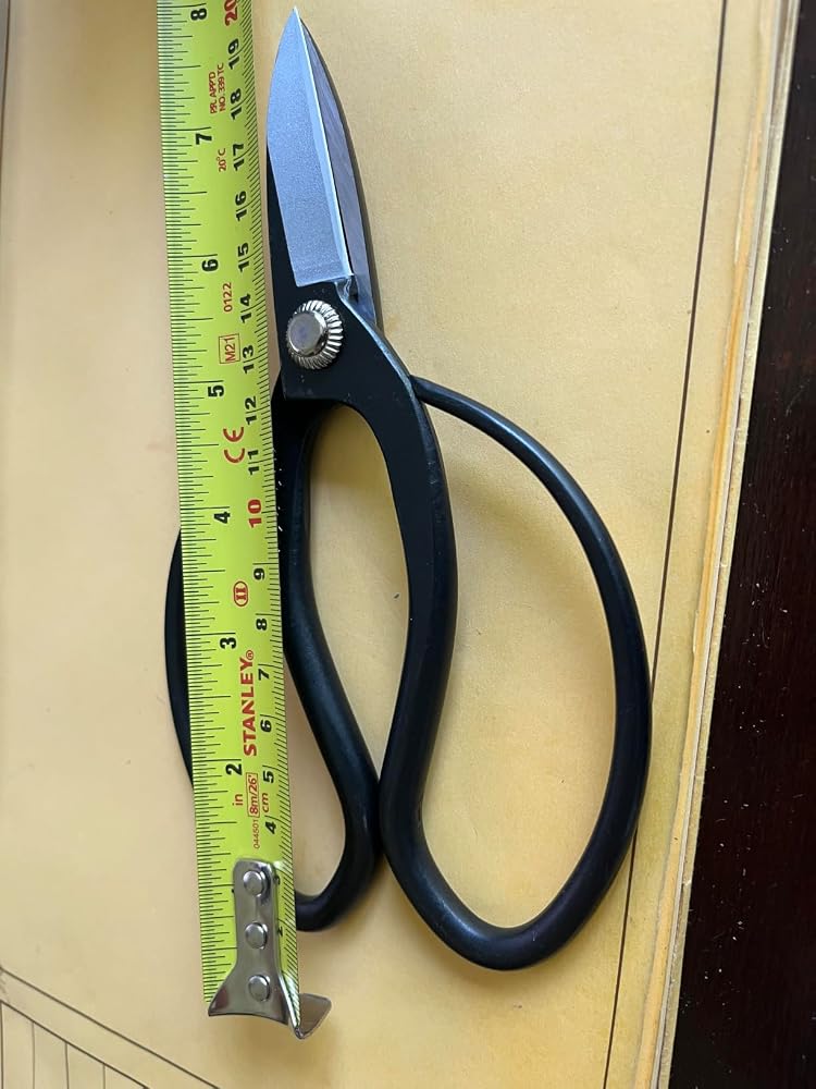 Review picture