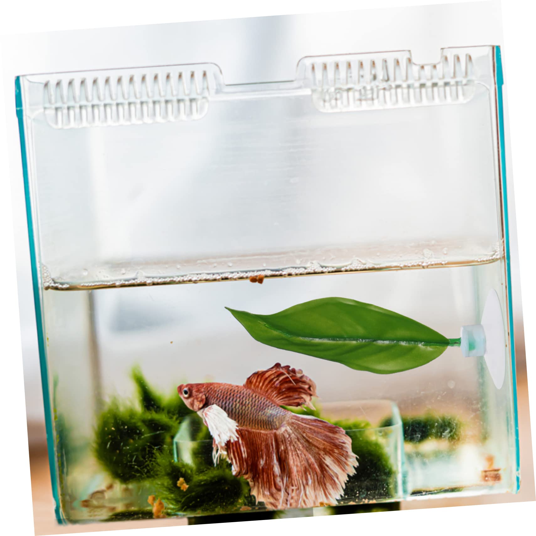 TOYANDONA 2 Series Hojas De Pecera Artificial Planta Falso Acuario Cría Accesorio De Pescado Betta Hojas De Desove Betta Hamaca De Hoja De Betta Hoja De Descanso El Plastico 8 Piezas*2