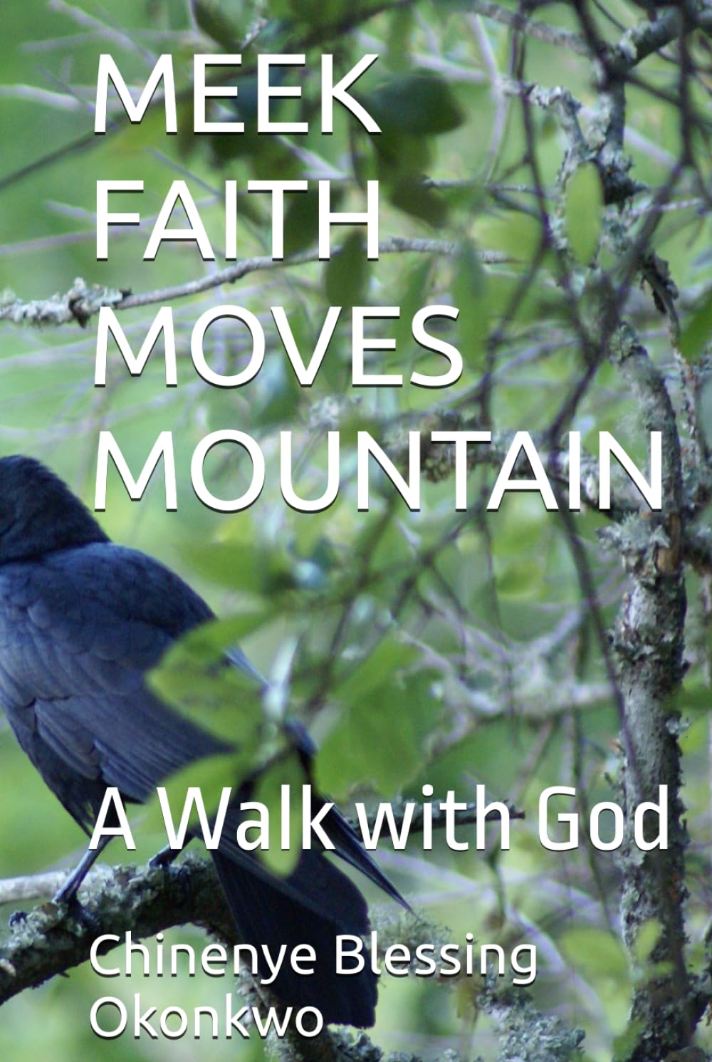 MEEK FAITH MOVES MOUNTAIN: A Walk with God