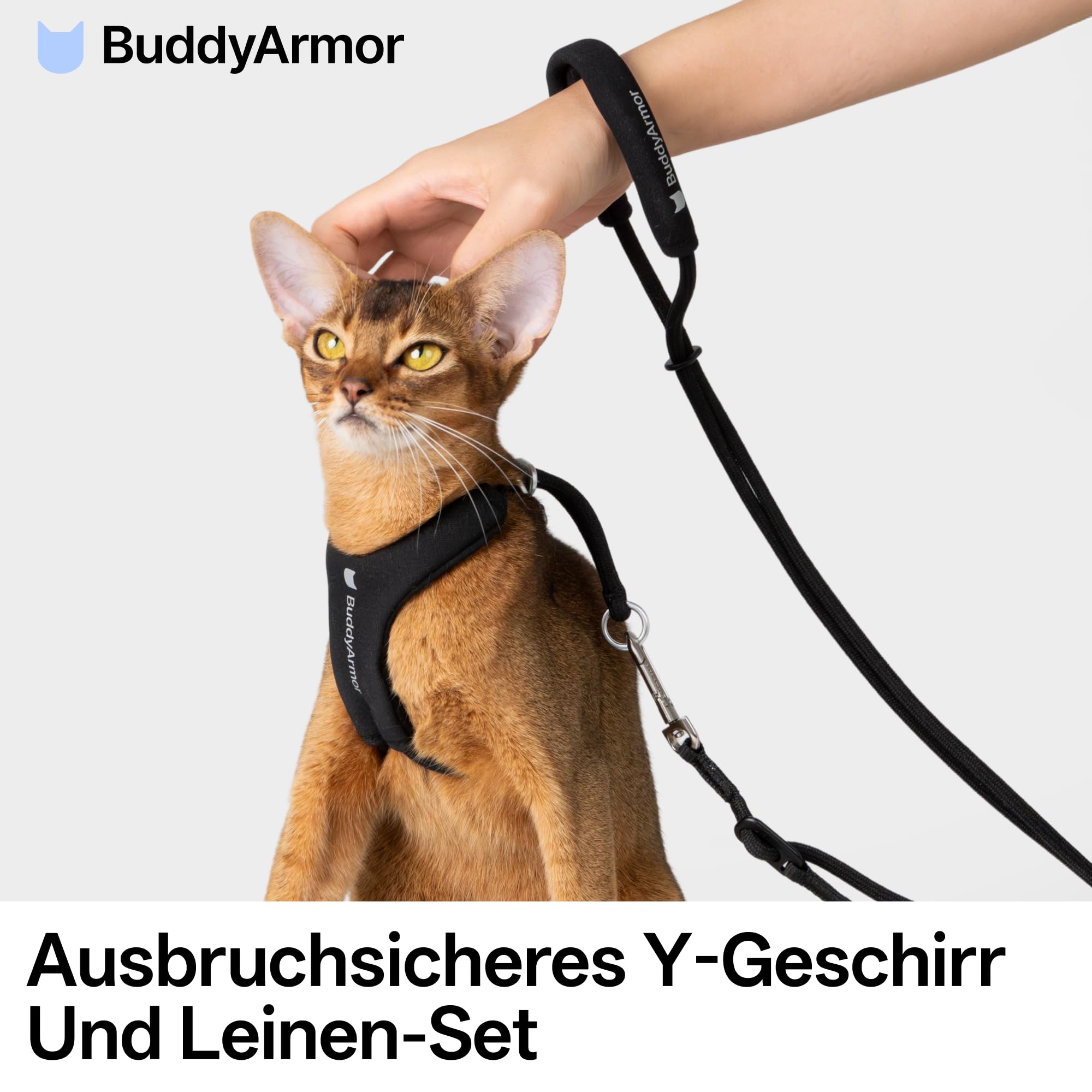 Harnais pour chat anti-évasion en forme de Y avec laisse, réglable, anti-étouffement, rembourré, harnais et poignées libres pour chat jusqu'à 12 kg (noir, L)