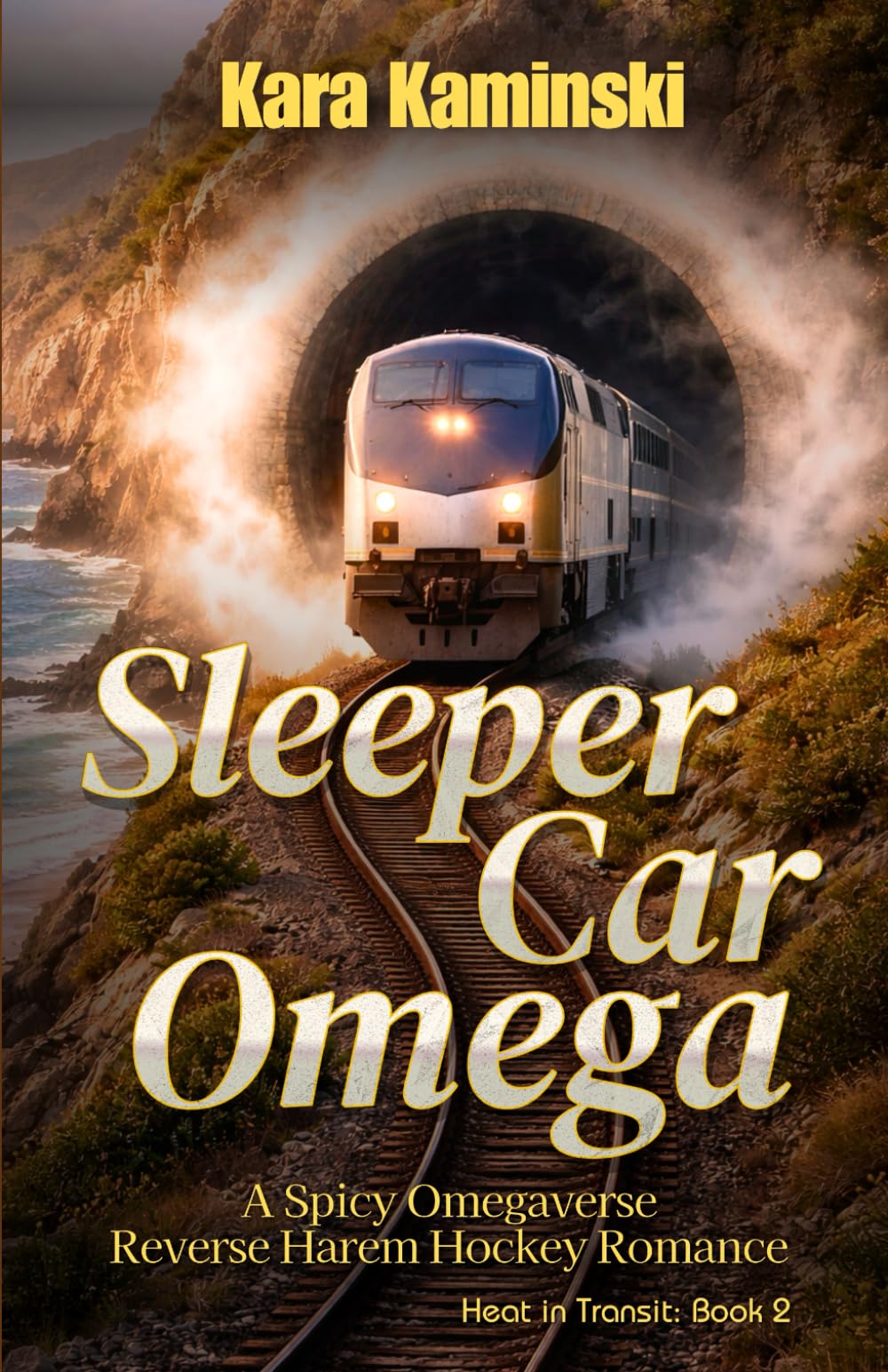 Sleeper Car Omega: A Spicy Omegaverse Reverse Harem Hockey Romance (Heat in Transit)