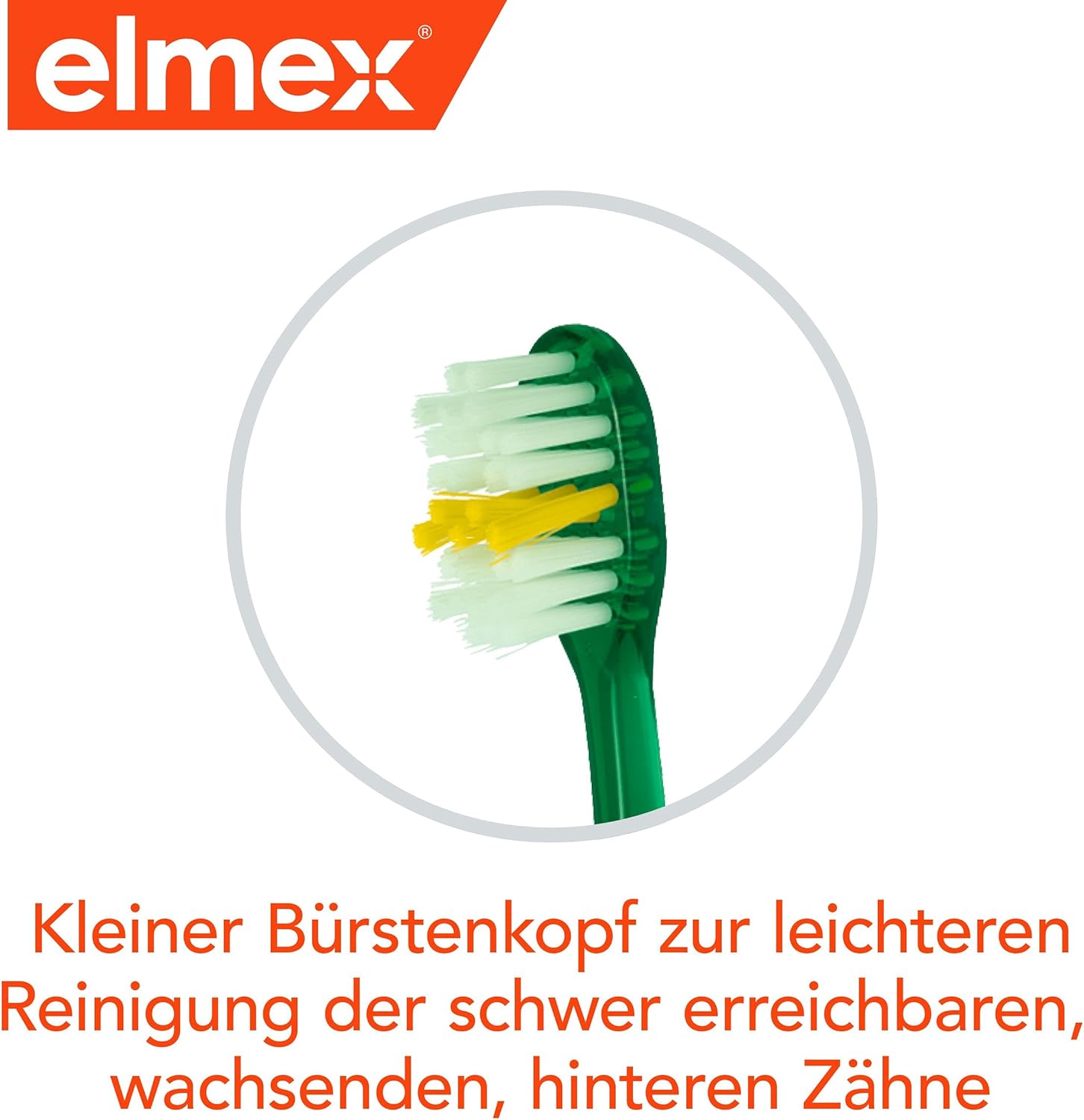 Elmex Toothbrush