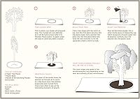 Vista 4 de Cerezo de crecimiento de cristal.