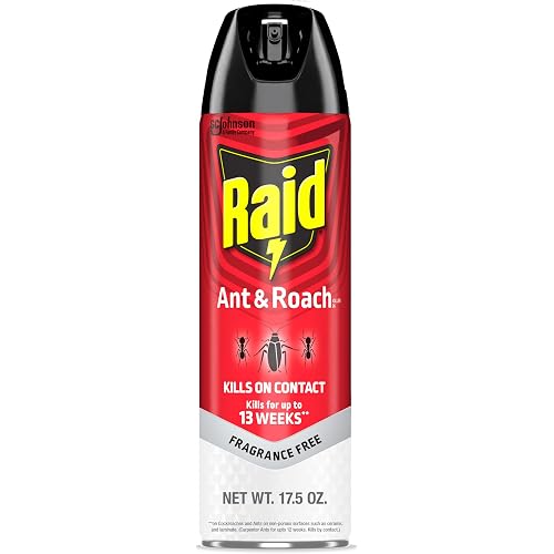 Raid Ant and Roach Killer, Fragrance Free, 17.5 OZ