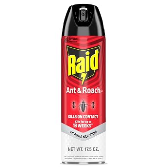 Raid Ant and Roach Killer, Fragrance Free, 17.5 OZ