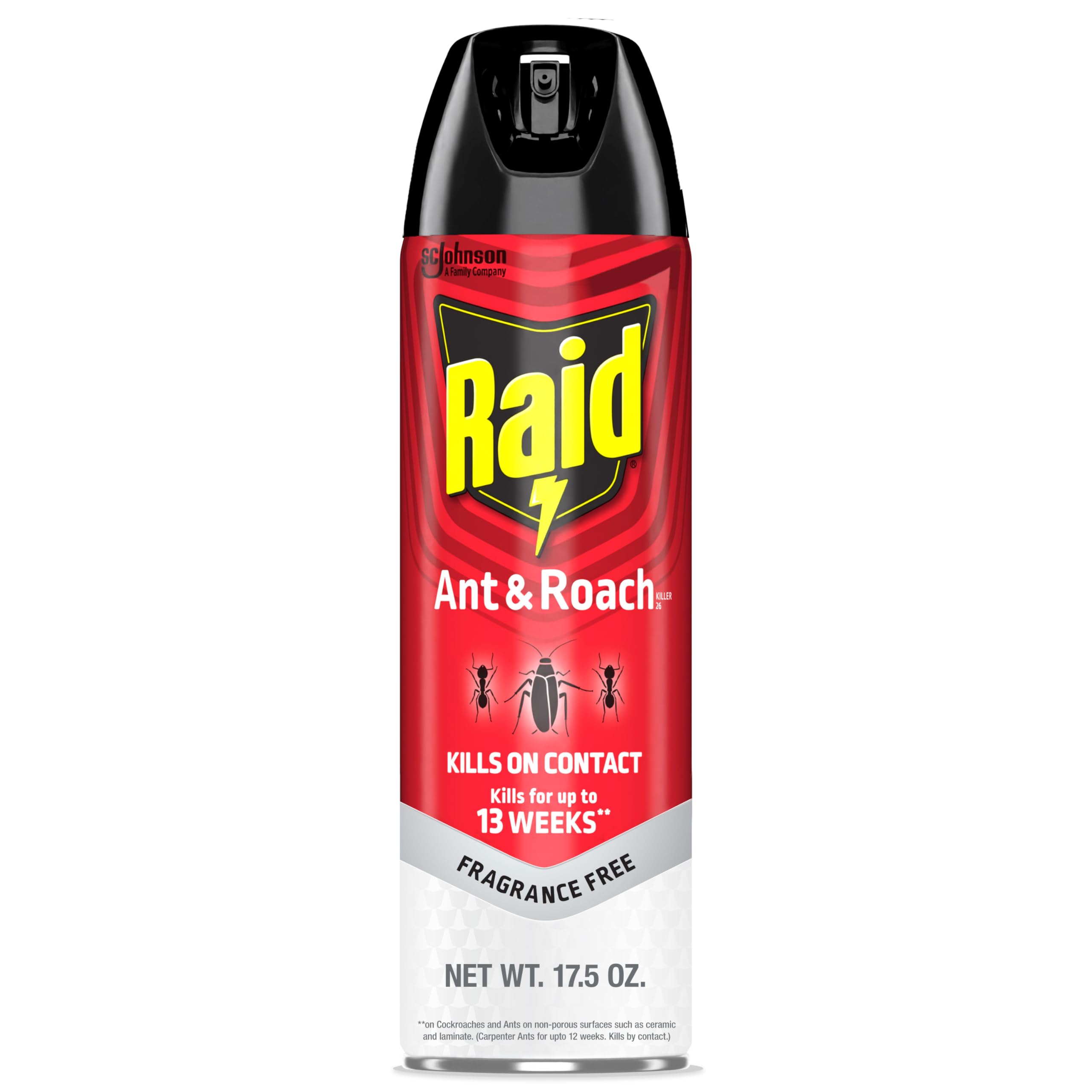 Raid Ant & Roach Killer Insecticide Spray-Fragrance Free - 17.5 oz
