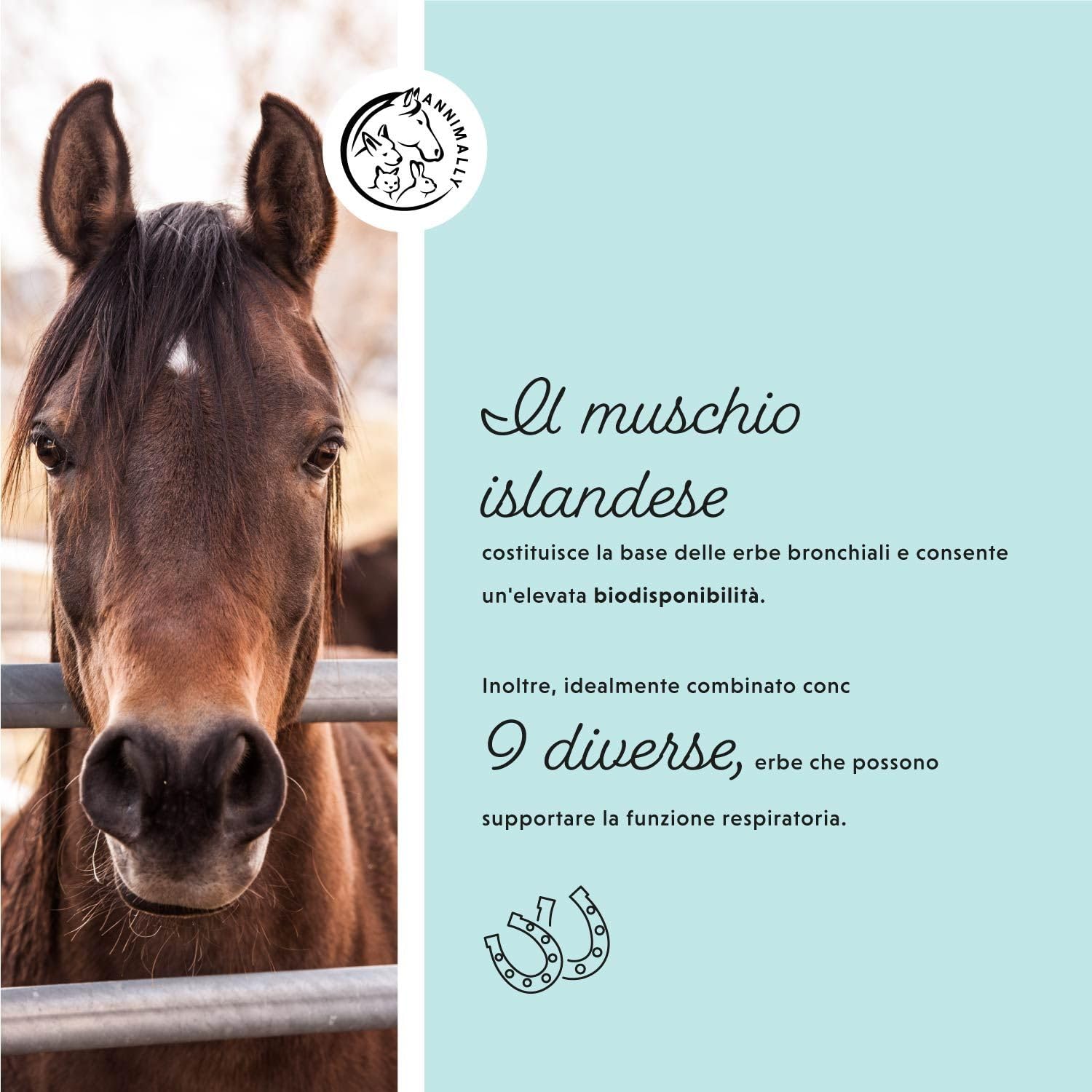 Annimally Sciroppo tosse secca Adulti per Cavalli 1000ml - Sciroppo bronchiale per Cavalli - Contro la tosse e per calmare Le Vie respiratorie - Sciroppo per la Gola - Integratori per Cavalli