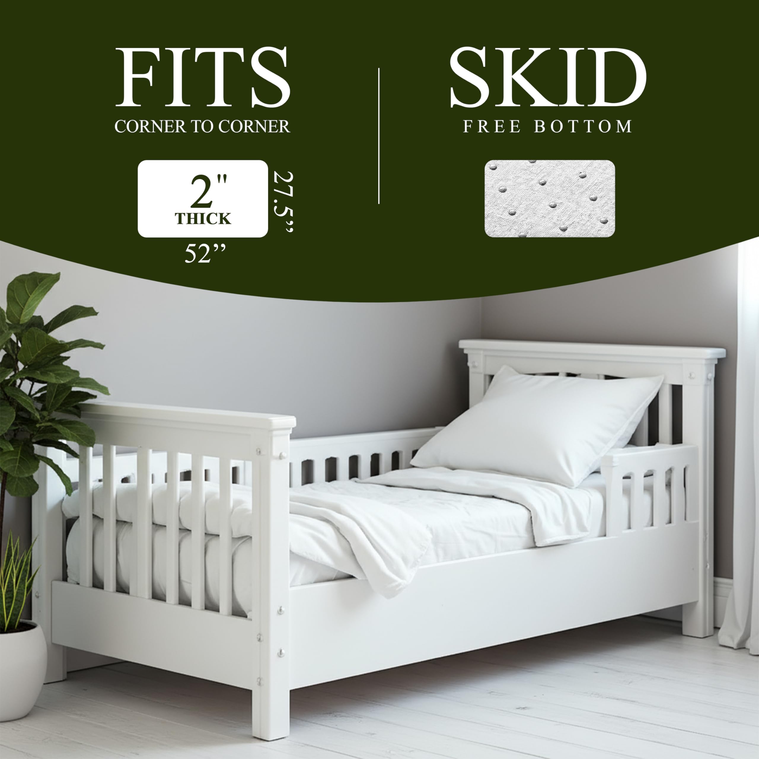 https://m.media-amazon.com/images/I/71ePuNWgFLL.jpg