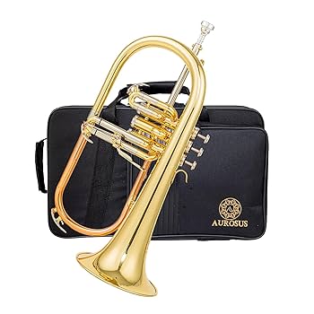 Amazon.com: SFH-8336 flugelhorn with 3rd valve trigger rose