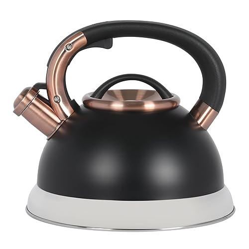 Flintshire 2.2 Quart Large Whistling Stainless Steel Tea Kettle, Matte