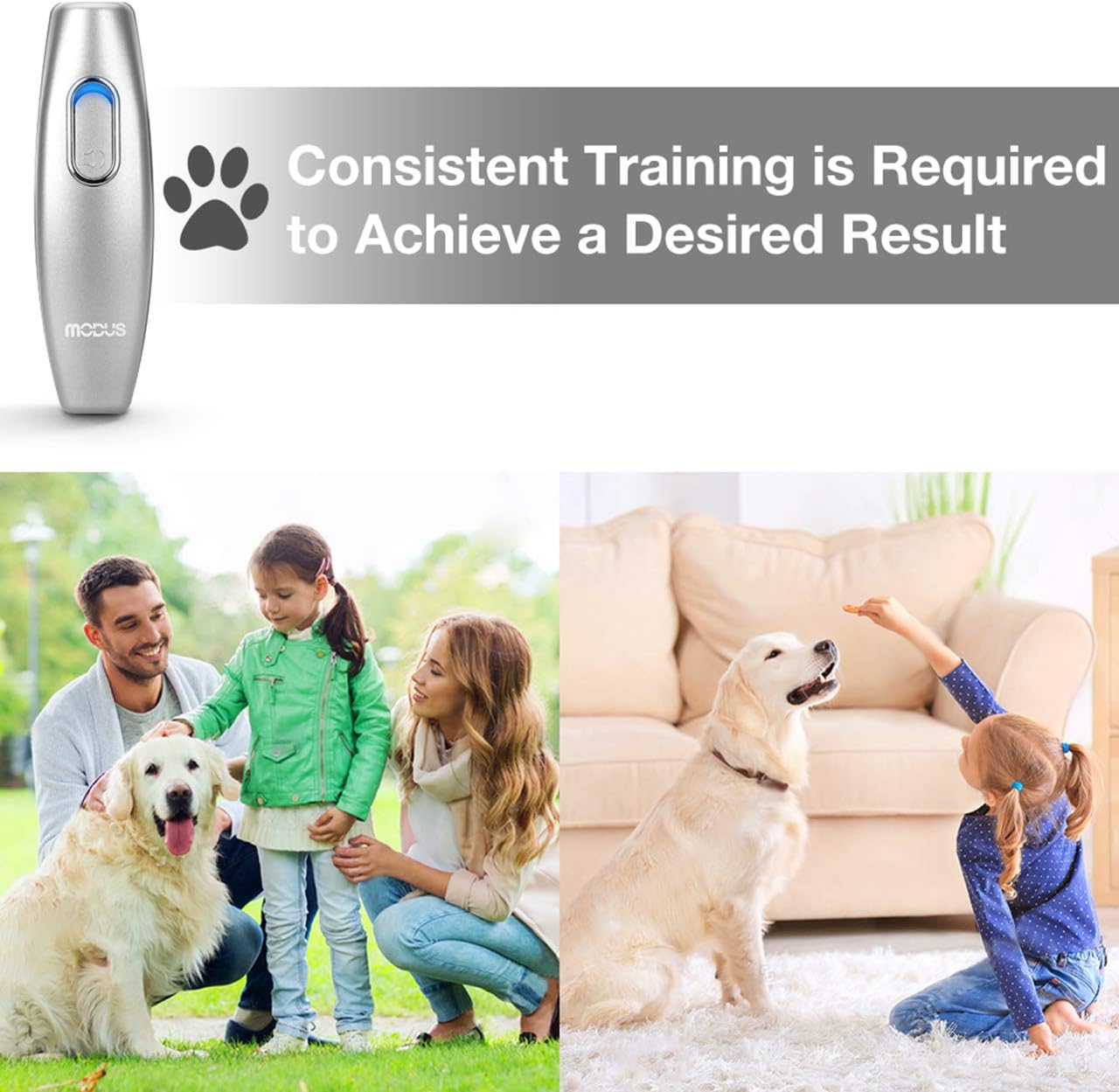 MODUS Bark Control Device 2-in-1 Dog Training Kuwait Ubuy