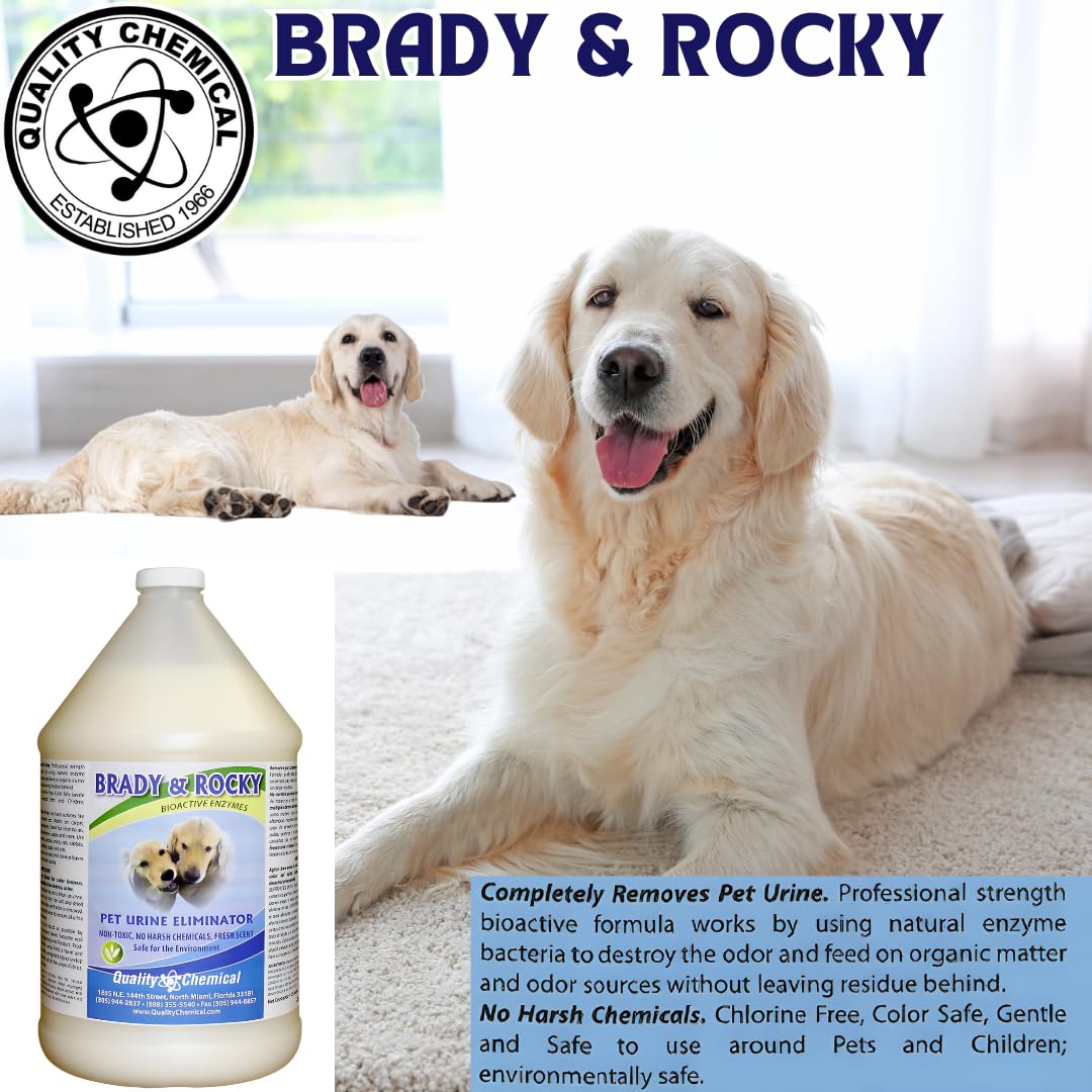 Quality Chemical Brady and Rocky Pet Urine Eliminator - Odor and Stain Remover by - for Carpet, Pet Carpet, Dog Odor Remover for Carpet, Carpet Vomit Stain Remover - 128 oz (Pack of 2)