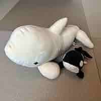 名古屋港水族館　シャチ　白　ぬいぐるみ　ぬいぐるみくじ　特等　アルビノ 51VSvcT5LwL._UF350,350_QL50_.jpg