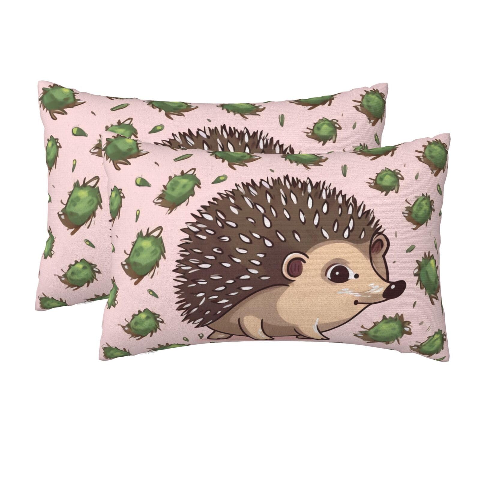 2 Pack Queen Size Pillow Cases for Hair and Skin Soft Breathable Pillow Case Covers with Hidden Zipper Cartoon Hedgehog Pillowcase 20x30 Inches Pillow Cover for Sleeping Gift