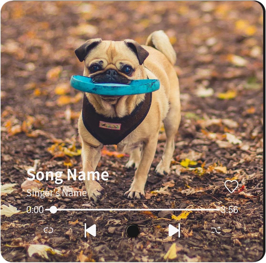 Dyoart Personalized Music Fridge Magnet, Custom Your Pet Photo Magnets, Customized Music Player Magnets for Refrigerator, Birthday for Pet Lover Music Lover, Style 12