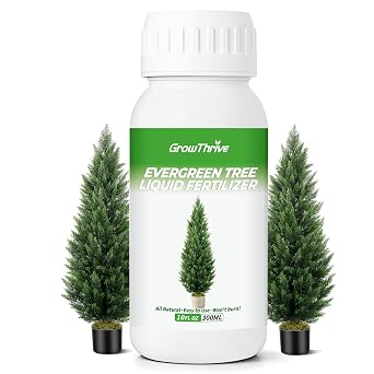 Evergreen Tree Liquid Fertilizer Organic Slow Release Plant Food, 10 oz