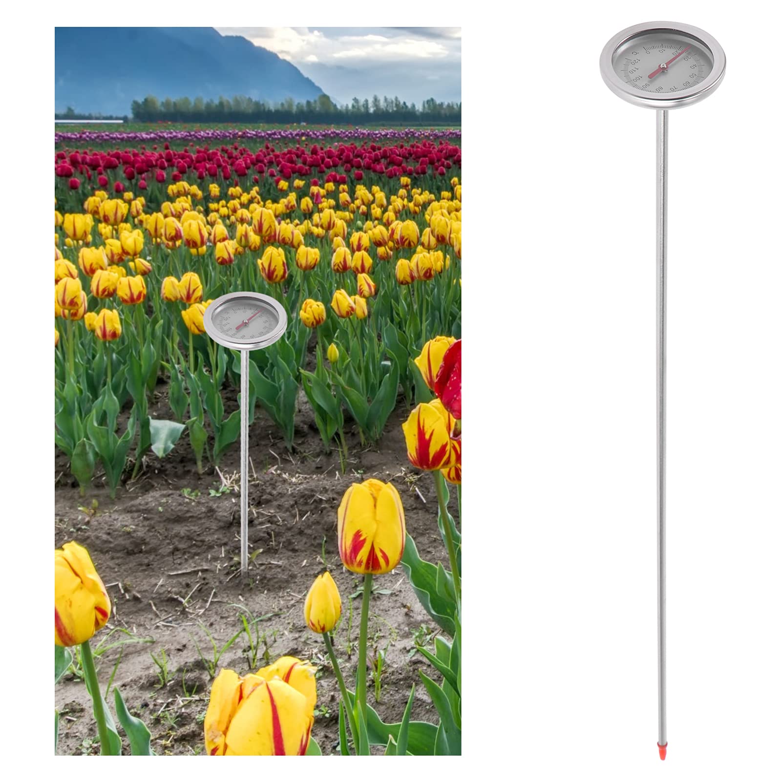 BESPORTBLE 2pezzi Termometro Per Compost e Terreno Strumento Di Misurazione Della Temperatura Senza Batteria Design Pratico e Durevole Per Giardinaggio e Monitoraggio Del Suolo