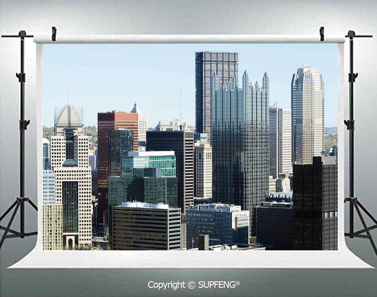 Photography Backdrops American Architecture Pittsburgh PA Skyline Pennsylvania Modern Cityscape 3D Backdrops for Photography Backdrop Photo Background Studio Prop