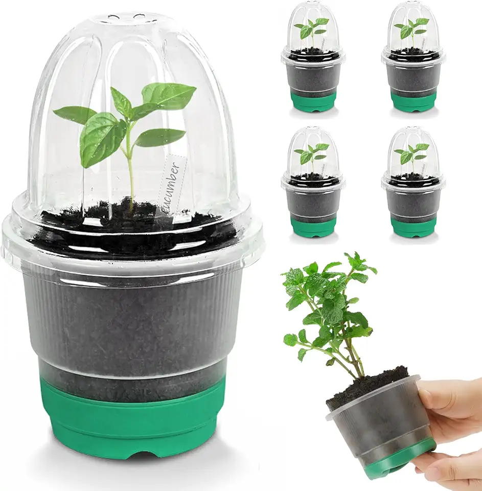 5 pacotes de vasos de berçário transparentes de 10 cm com tampa, base de silicone reforçada para facilitar o transplante, sementes reutilizáveis, vasos de flores de plantas pequenas com drenagem, 10