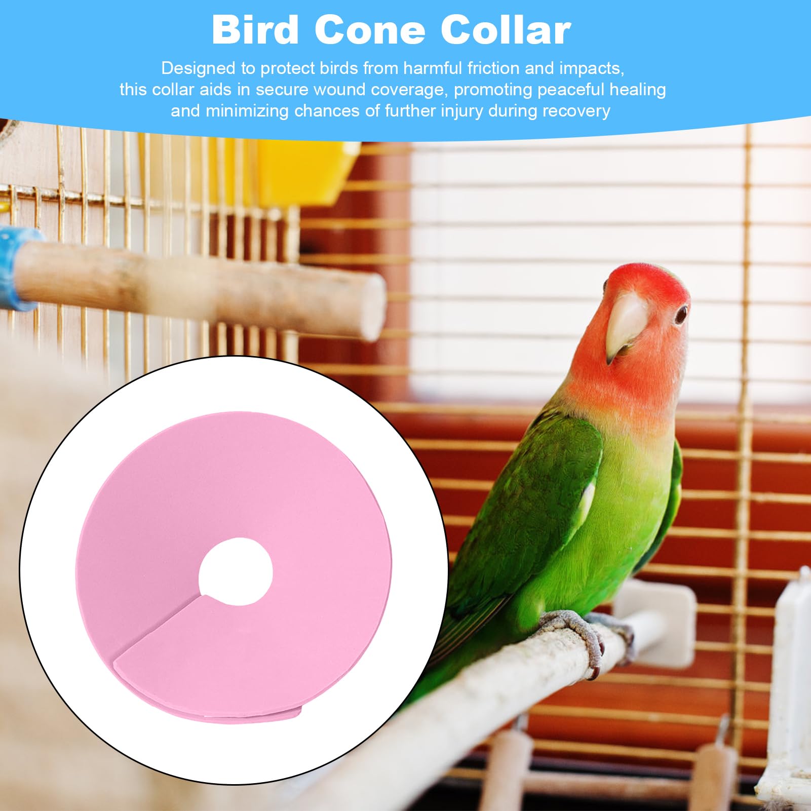 Collier de protection pour hamster - Collier de protection pour perruche - Collier anti-morsure pour petits animaux - Prévention de la chute des poils - Pour chat, furet, perruche, souris