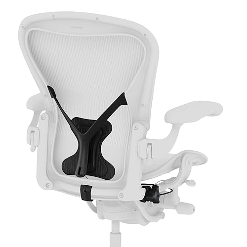 Herman Miller Aeron PostureFit - Kit de soporte complementario - Grafito - Talla B