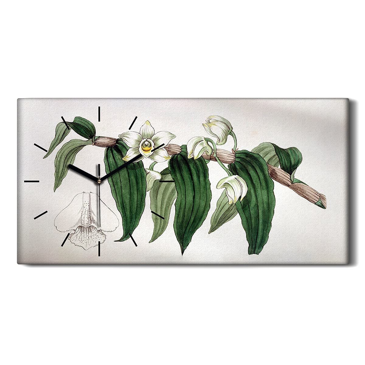 Horloge sur Toile Orchidée 60x30cm Coloray Horloge Silencieuse pour Salon