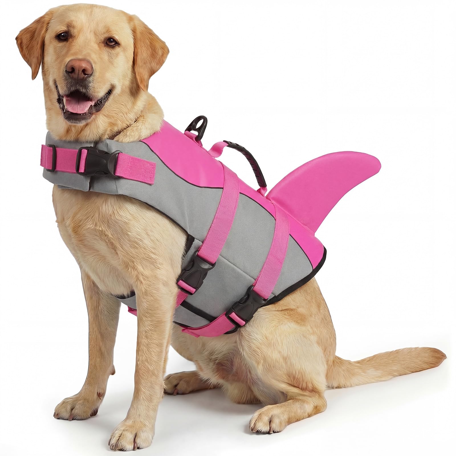 ASENKU Giubbotto Salvagente per Cani, Giubbotto Salvataggio Cane Squalo per Nuoto e Sport Acquatici,con Maniglia Superiore e Cintura di Sicurezza Regolabile, per Cani di Taglia Piccola Media Grande XL