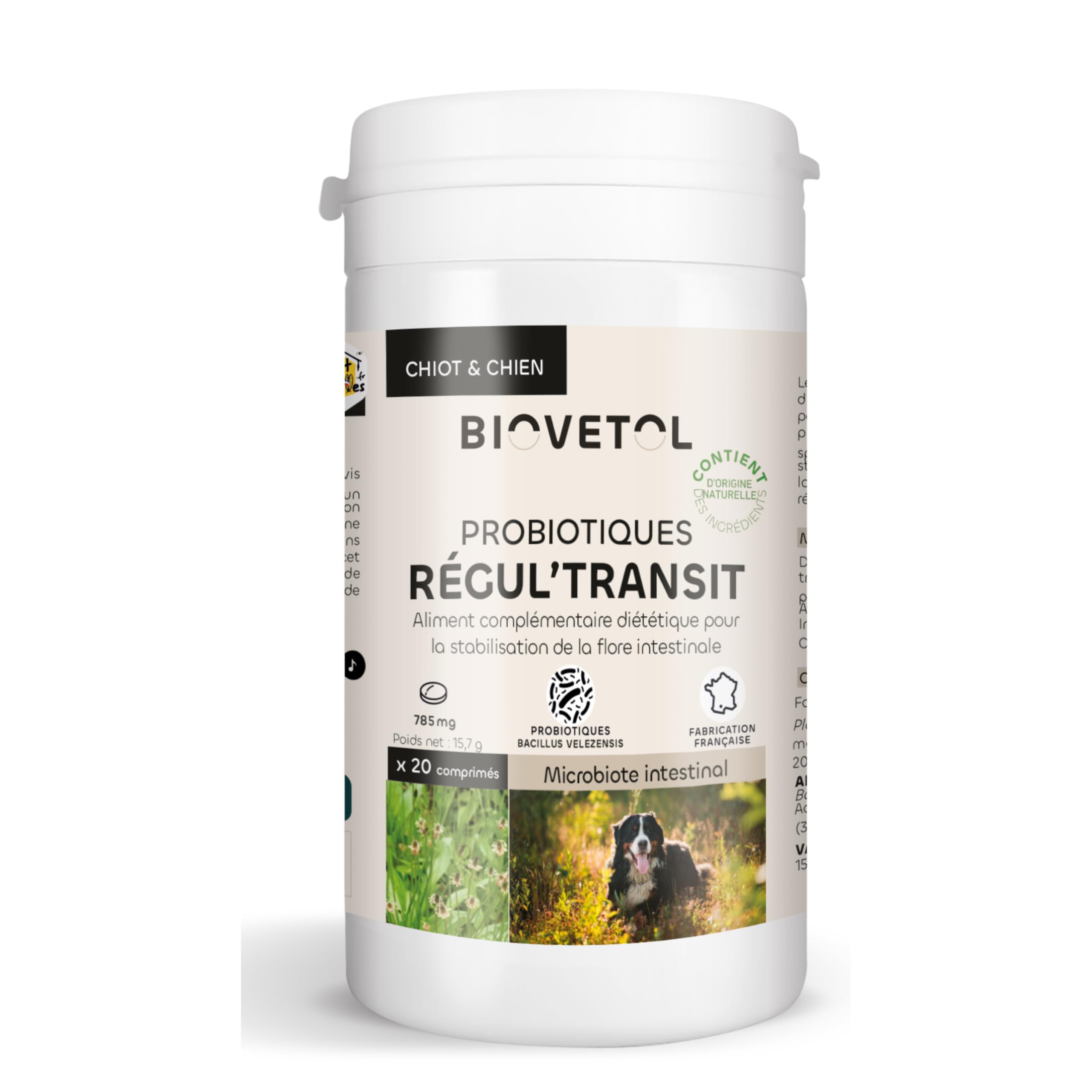 Biovetol - Comprimés à croquer Regul'Transit - Probiotiques, Prébiotiques, Digestion pour Chien - Flore Intestinale - Conçu et fabriqué en France - 20 comprimés