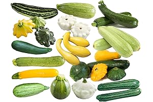 Organic Non-GMO 12 Varieties Summer Squash Mix Seeds 50+