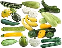 Harley Seeds Zucchini & Squash Mix: 50 Non-GMO Seeds, 12 Rare Varieties, Super Prolific USA Grown Cucurbita Pepo