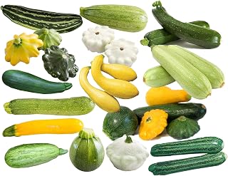 Harley Seeds Zucchini & Squash Mix: 50 Non-GMO Seeds, 12 Rare Varieties, Super Prolific USA Grown Cucurbita Pepo