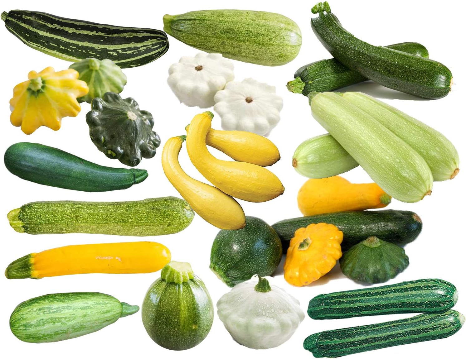 This is a Mix 50 Zucchini and Squash Mix Seeds 12 Varieties Non-GMO Delicious Grown in USA. Rare Super Profilic Cucurbita Pepo