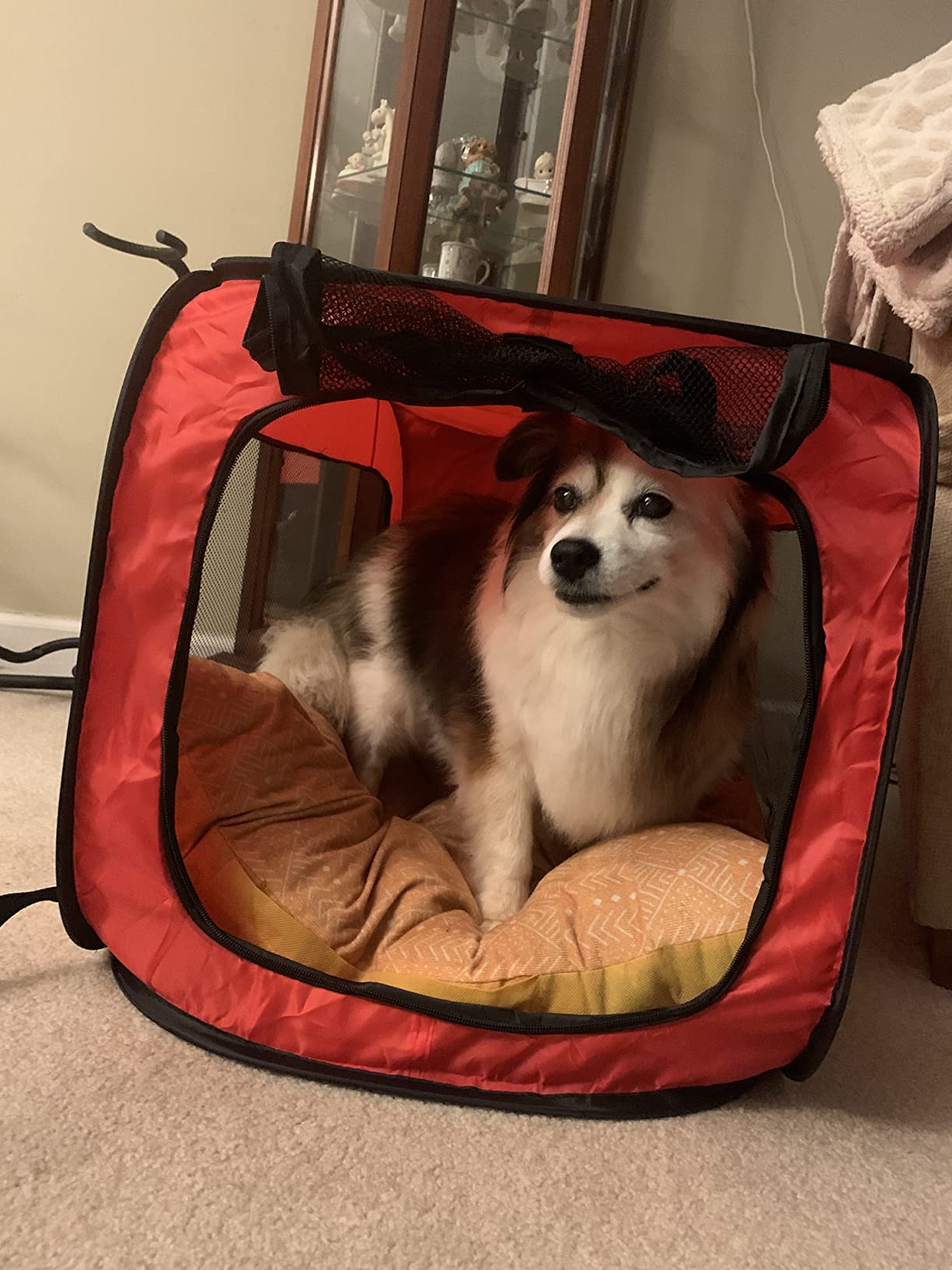 6/mo Finance Beatrice Home Fashions Portable, Collapsible, Pop Up