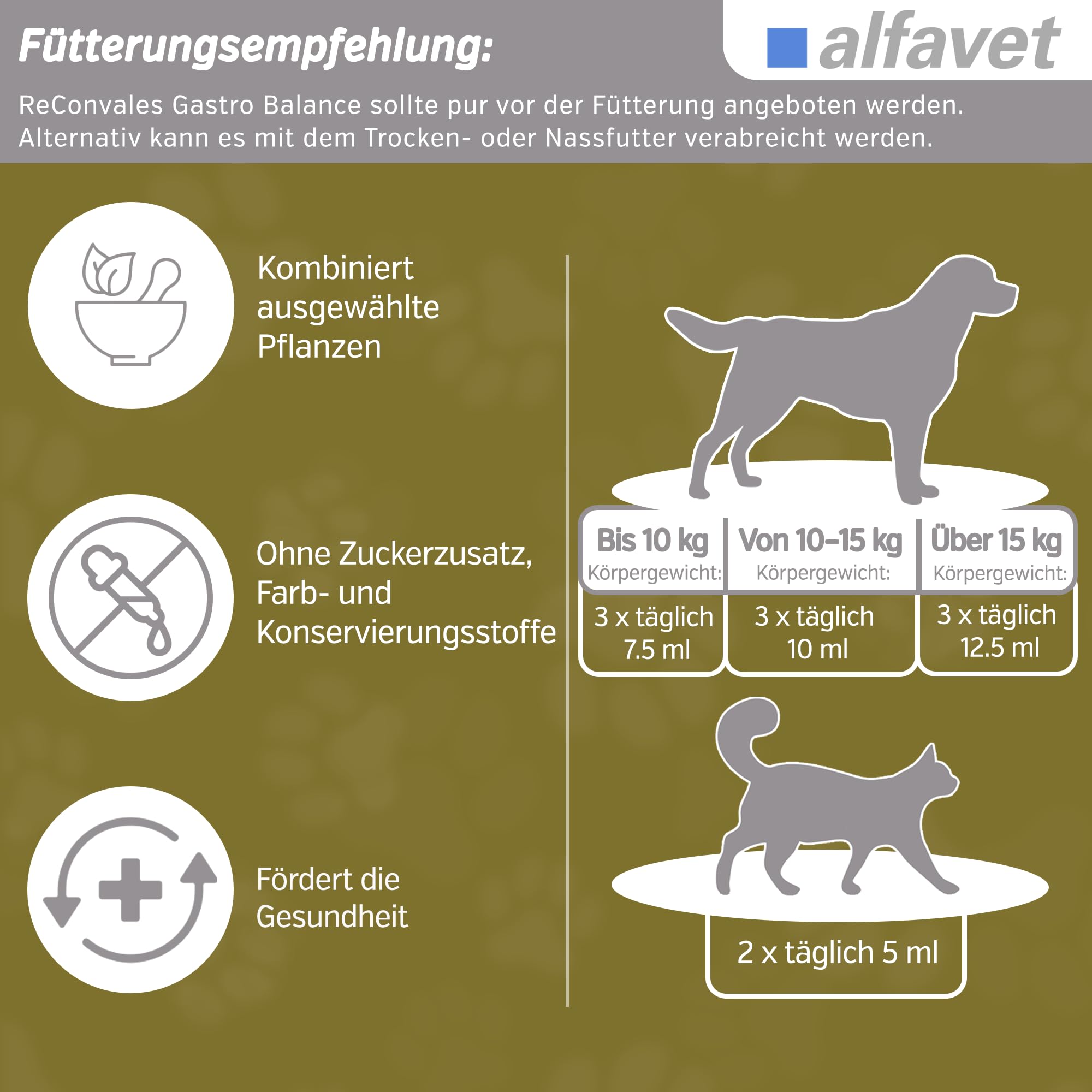 Alfavet, ReConvales Gastro Balance dla kota i psa, do pielęgnacji błony śluzowej żołądka z regulatorem kwasowości, pasza uzupełniająca, 3 x 90 ml