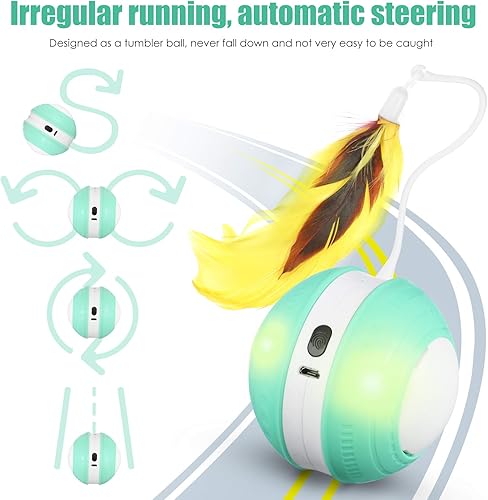 Miniatura 7 de Rueda de juguetes con sonido  Pelota de juguete para cachorros de interior  USB cargable