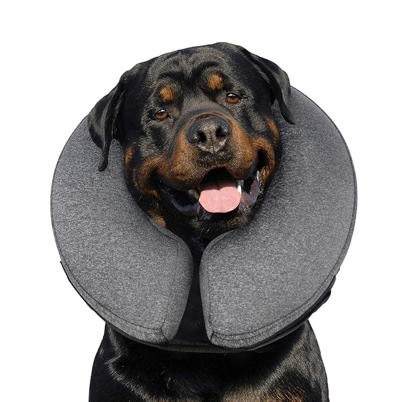 Colar inflável tipo donut para cães MIDOG, X-Large, Cinza (53,34–60,96 cm)