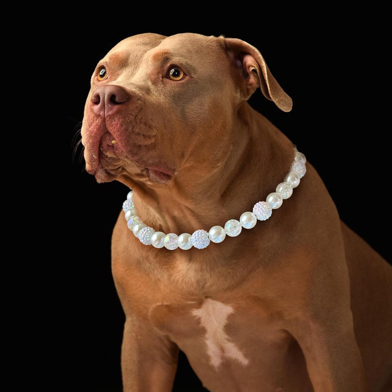 Pearl Dog Collar with AB Sparkle Beads – White Pearl Necklace for Dogs, Elegant Decorative Jewelry for Weddings and Portraits (White, Large)