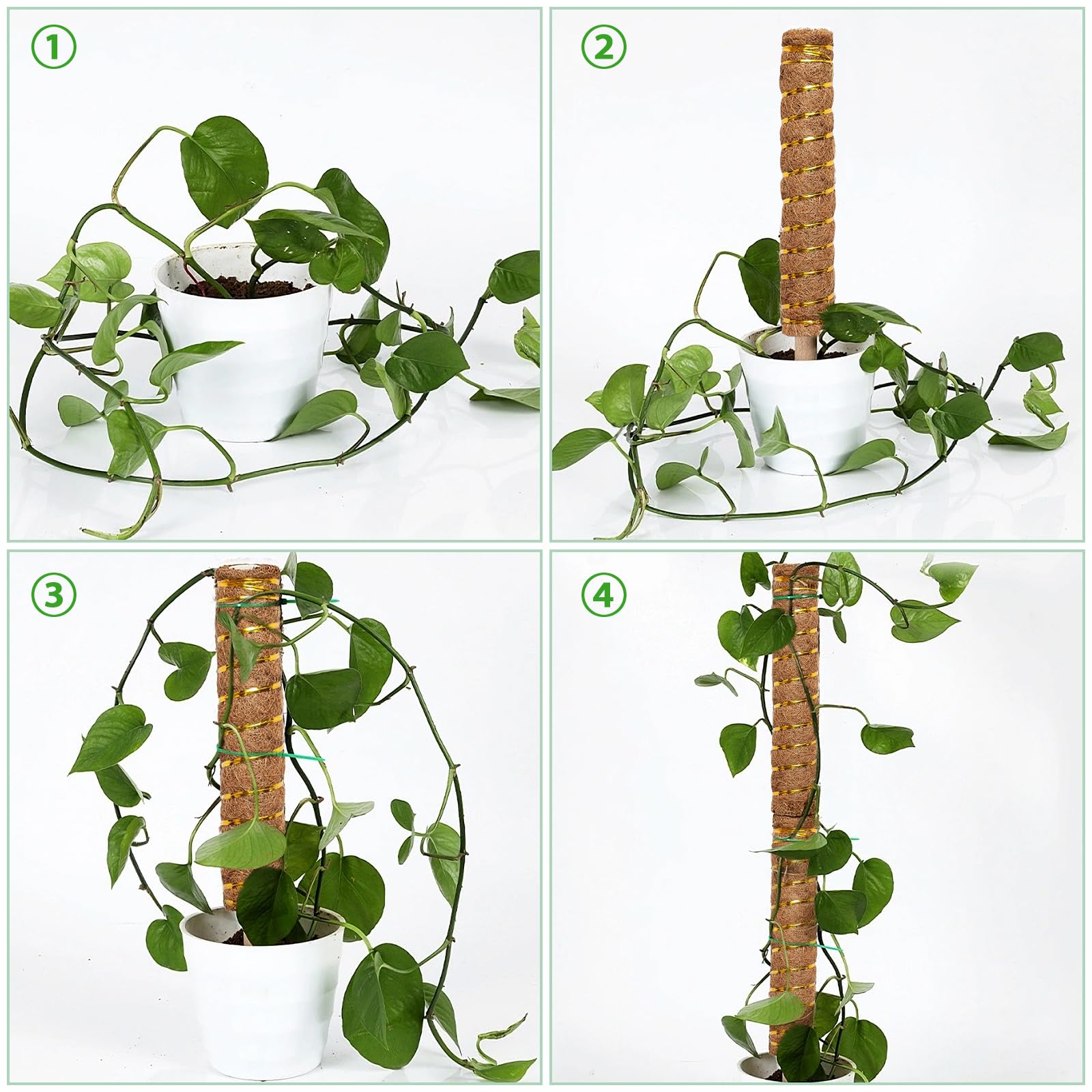 40 Pezzi Clip Di Supporto Per Piante Rampicanti, In Plastica Resistente, Per Fusti, Low Stress Training, Verde E Rosso - 3