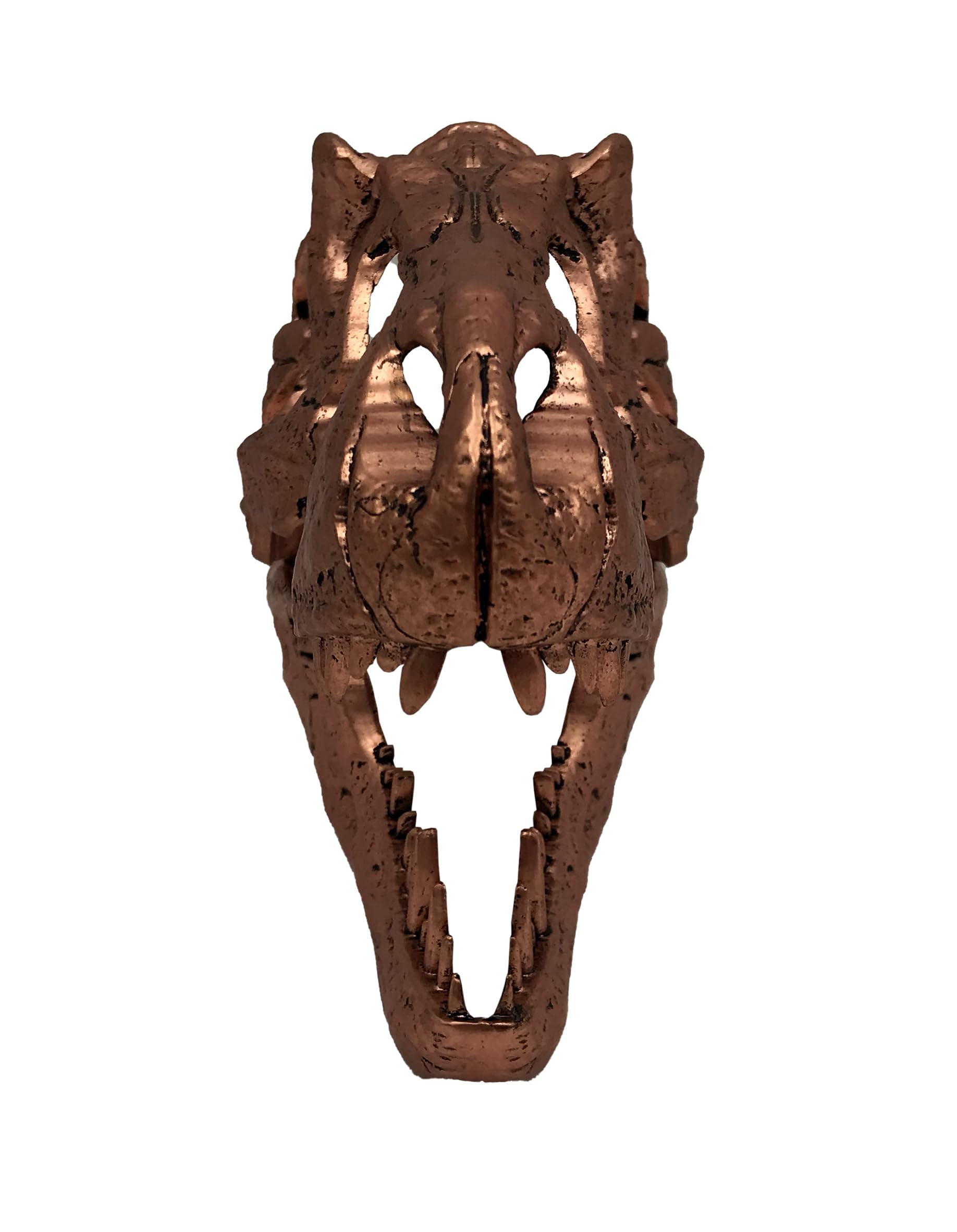 JurassicParkrépliqueminiT-RexSkull10cm